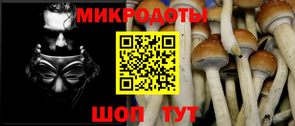 Чайковский  Галлюциногенные грибы Psilocybe  Галлюциногенные грибы MAGIC MUSHROOMS  Вход с VPN 